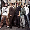 Cat Empire Contest