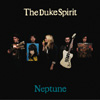 Duke Spirit Contest